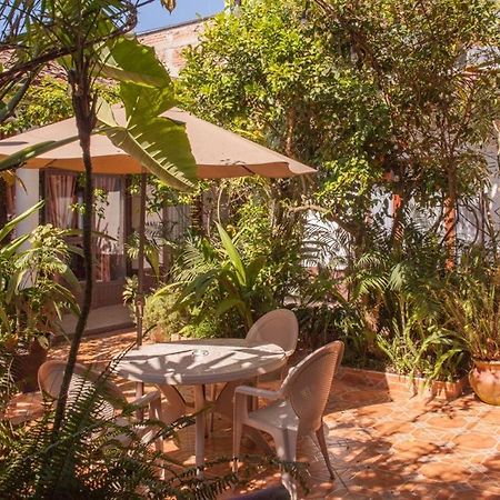 Posada Galeria Alberto Sedas Huatusco エクステリア 写真