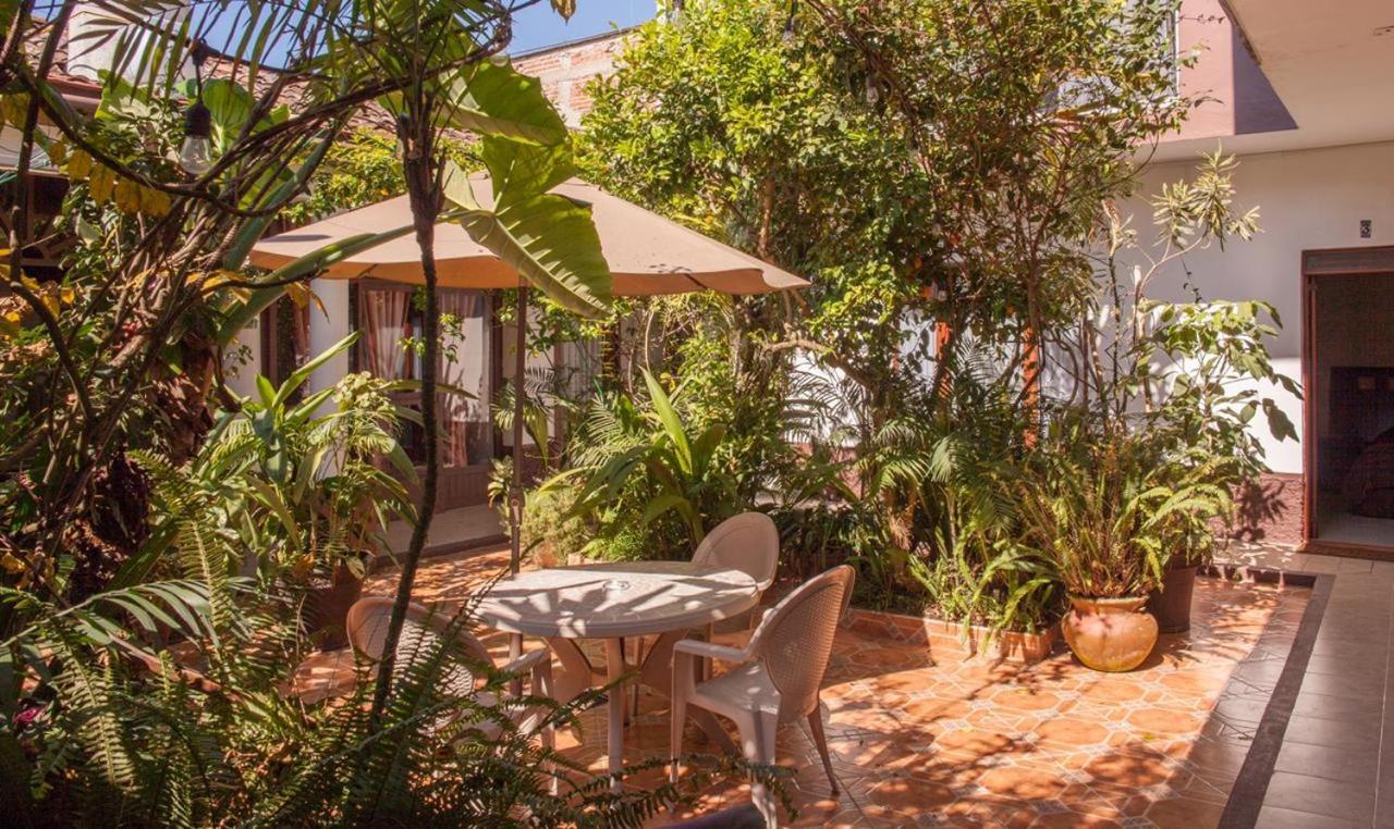 Posada Galeria Alberto Sedas Huatusco エクステリア 写真