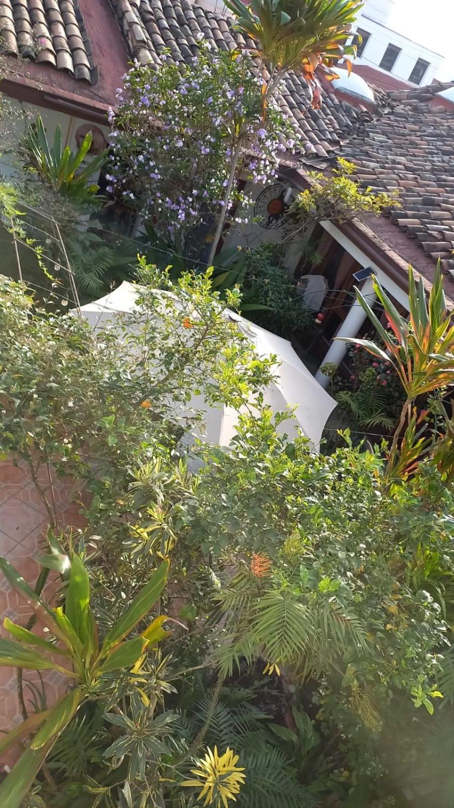 Posada Galeria Alberto Sedas Huatusco エクステリア 写真