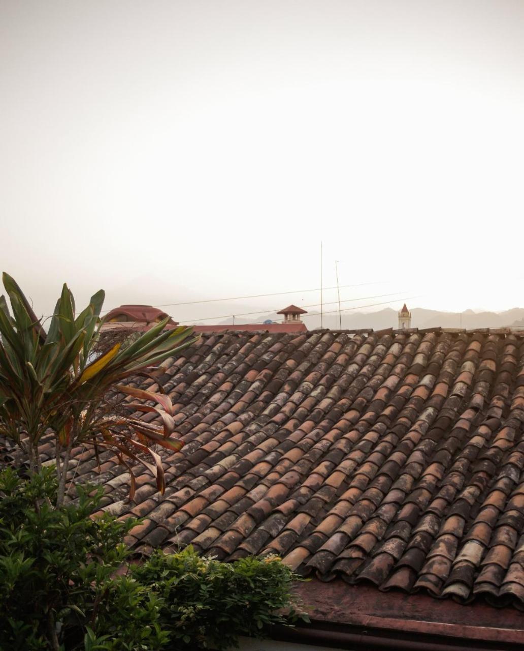 Posada Galeria Alberto Sedas Huatusco エクステリア 写真
