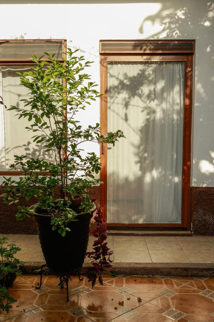 Posada Galeria Alberto Sedas Huatusco エクステリア 写真