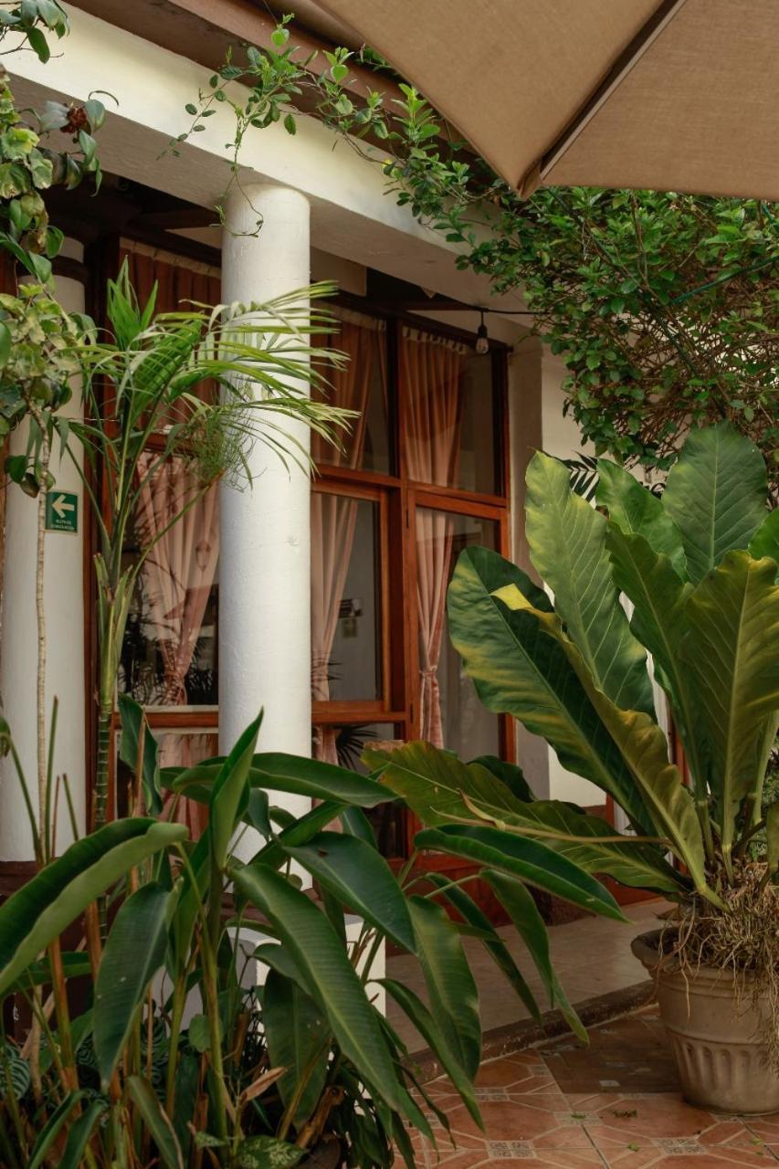 Posada Galeria Alberto Sedas Huatusco エクステリア 写真