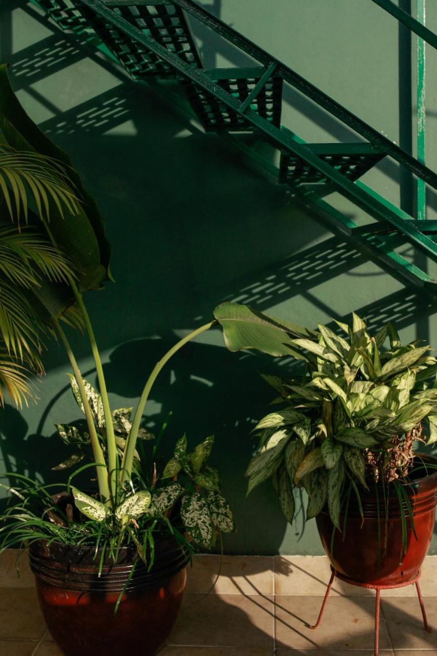 Posada Galeria Alberto Sedas Huatusco エクステリア 写真