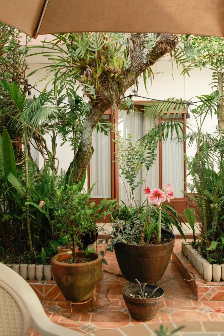 Posada Galeria Alberto Sedas Huatusco エクステリア 写真