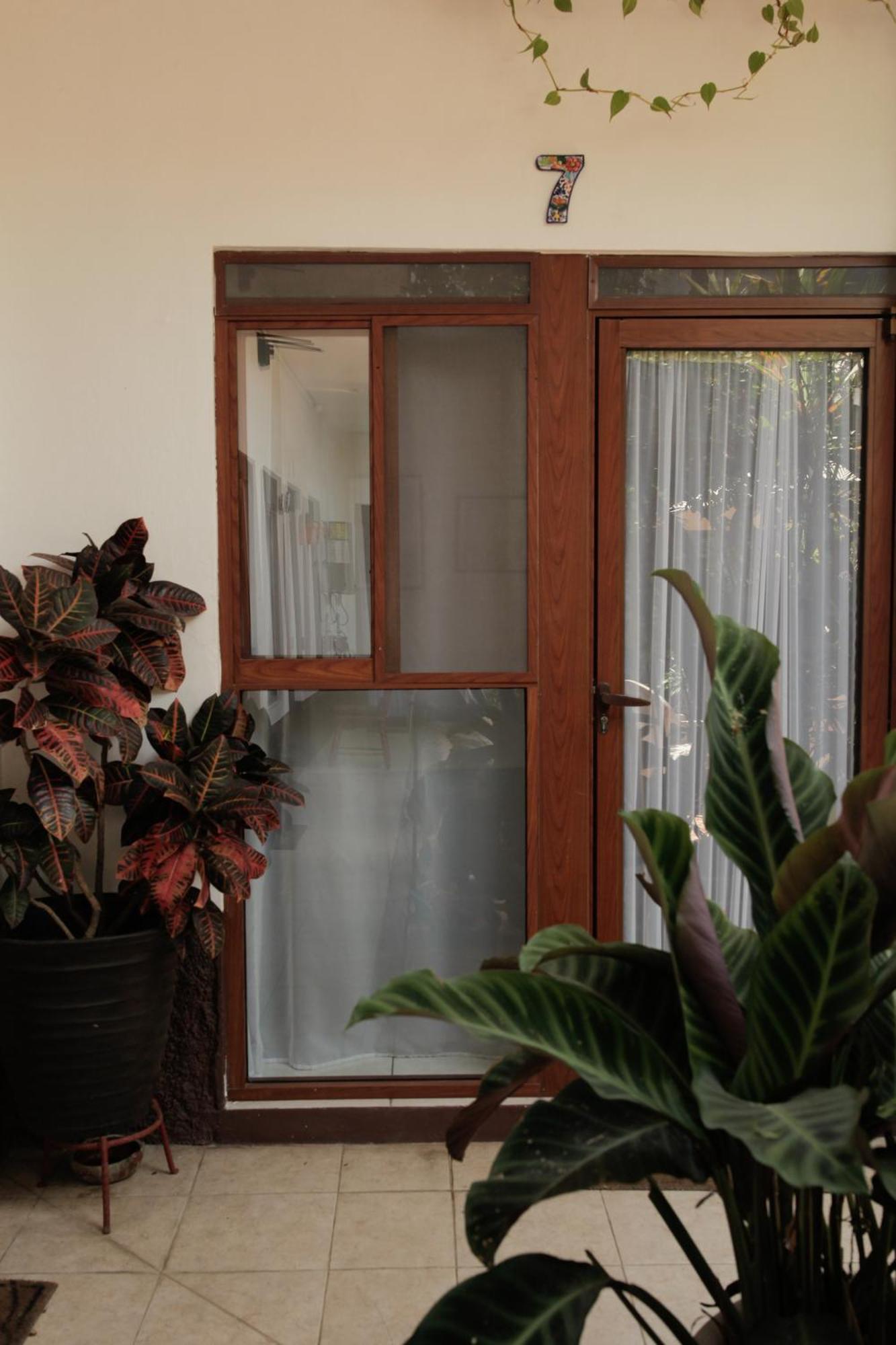 Posada Galeria Alberto Sedas Huatusco エクステリア 写真